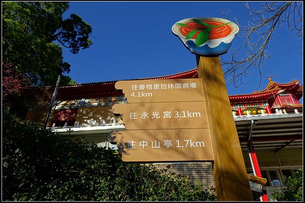 2024.02.18 宜蘭冬山 ‧ 中山茶園步道 &amp; 班比山