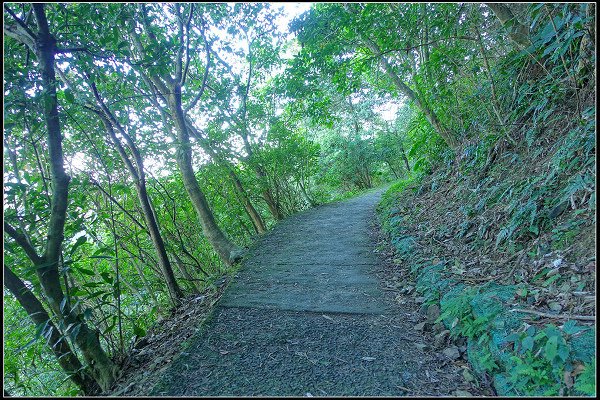 2024.02.18 宜蘭冬山 ‧ 中山茶園步道 &amp; 班比山