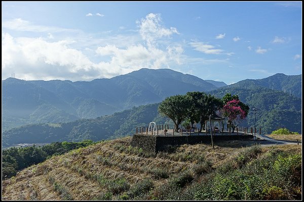 2024.02.18 宜蘭冬山 ‧ 中山茶園步道 &amp; 班比山