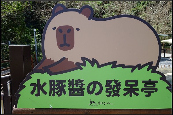 2024.02.18 宜蘭冬山 ‧ 中山茶園步道 &amp; 班比山