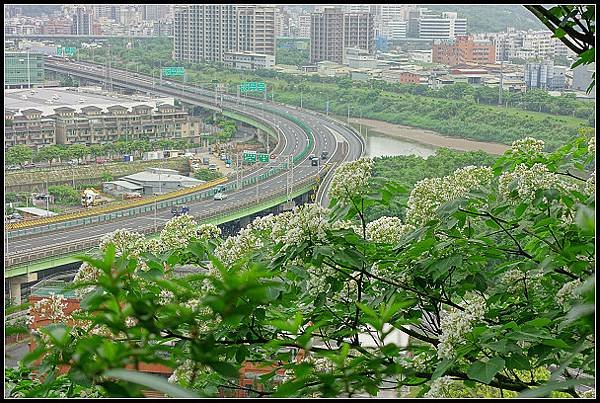 2024.04.20 汐止小南港山 ‧ 油桐花 &amp; 內湖成功