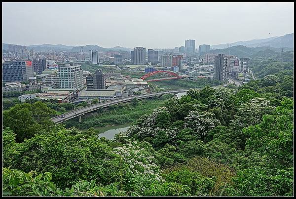 2024.04.20 汐止小南港山 ‧ 油桐花 &amp; 內湖成功