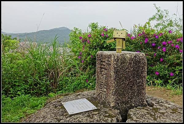 2024.04.20 汐止小南港山 ‧ 油桐花 &amp; 內湖成功