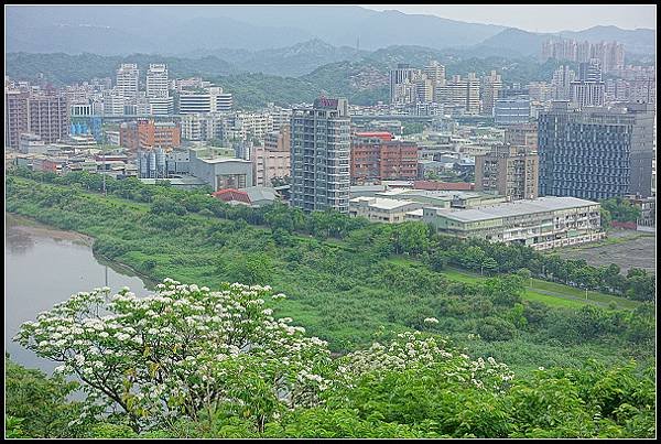 2024.04.20 汐止小南港山 ‧ 油桐花 &amp; 內湖成功