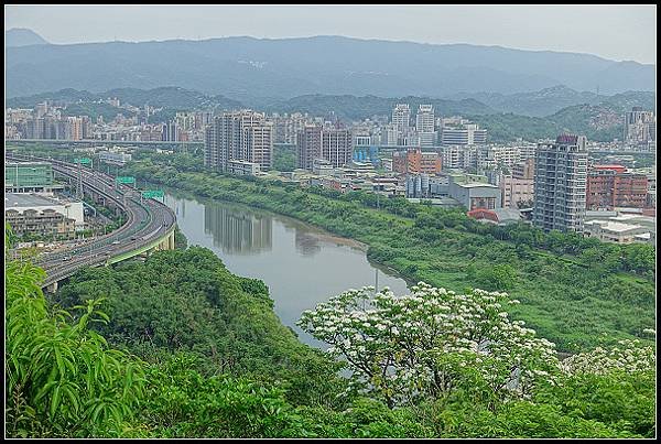 2024.04.20 汐止小南港山 ‧ 油桐花 &amp; 內湖成功