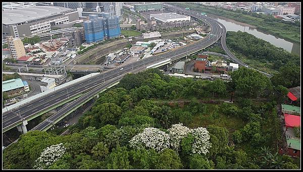 2024.04.20 汐止小南港山 ‧ 油桐花 &amp; 內湖成功