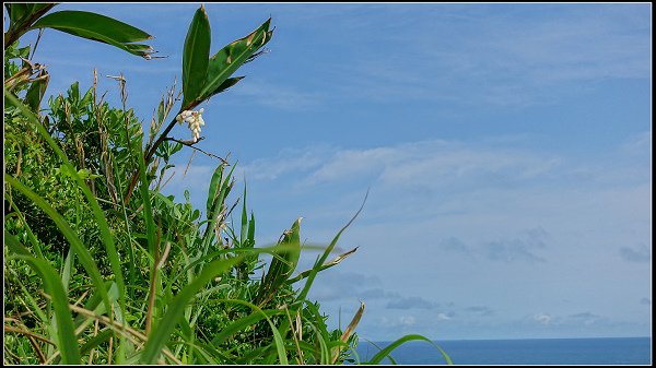 2022.05.07 瑞芳 ‧ 鼻頭角濱海步道