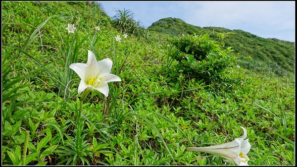 2022.05.07 瑞芳 ‧ 鼻頭角濱海步道