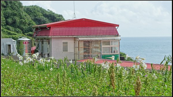 2022.05.07 瑞芳 ‧ 鼻頭角濱海步道