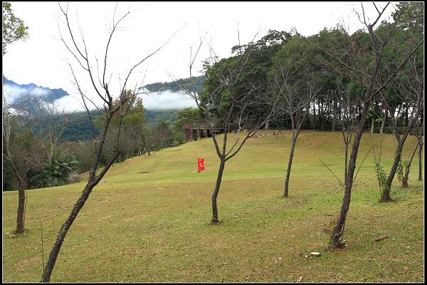 2021.12.28 桃園復興鄉角板山 ‧ 梅花