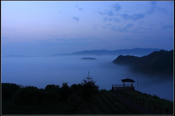 2021.04.02 坪林南山寺 ‧ 雲海之美