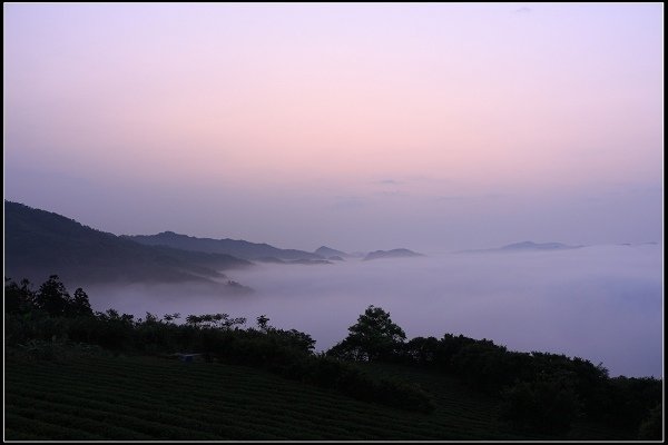 2021.04.02 坪林南山寺 ‧ 雲海之美