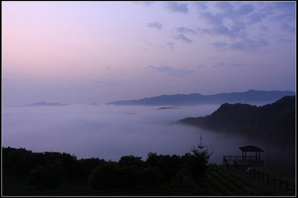 2021.04.02 坪林南山寺 ‧ 雲海之美