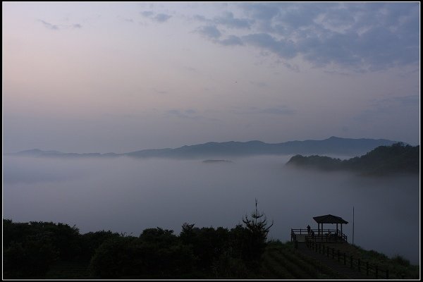 2021.04.02 坪林南山寺 ‧ 雲海之美