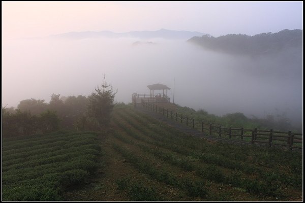 2021.04.02 坪林南山寺 ‧ 雲海之美