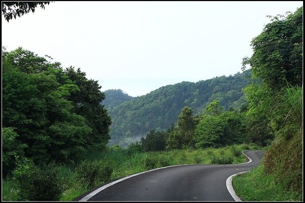 2021.04.02 坪林南山寺 ‧ 雲海之美