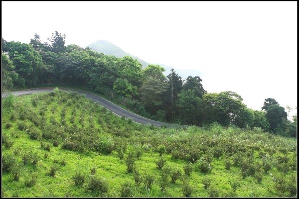 2021.04.02 坪林南山寺 ‧ 雲海之美