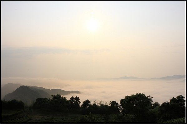 2021.04.02 坪林南山寺 ‧ 雲海之美