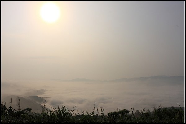 2021.04.02 坪林南山寺 ‧ 雲海之美