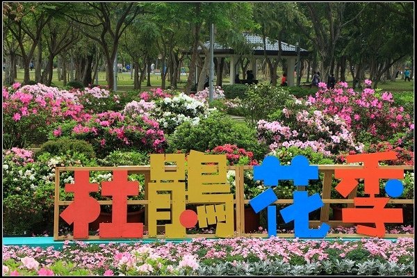 2021.03.06 大安森林公園 ‧ 杜鵑季