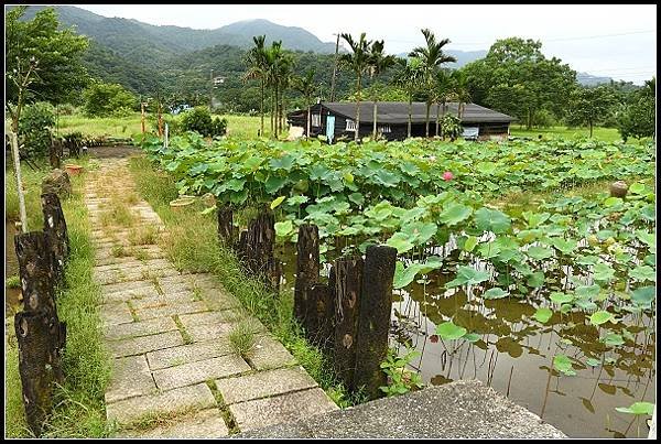 2012.06.02 雙溪拍荷