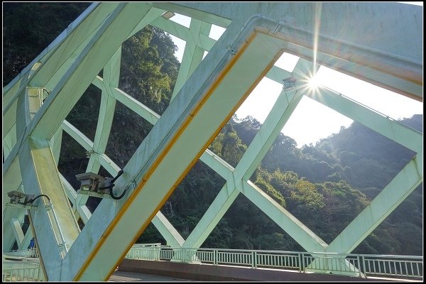 2021.02.06【單車遊記】新店烏來 ‧ 櫻之旅