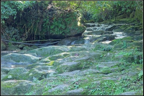 2021.01.10 貓空茶香環狀步道