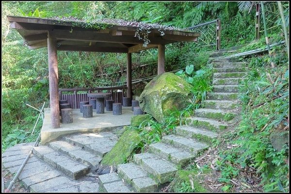 2021.01.10 貓空茶香環狀步道