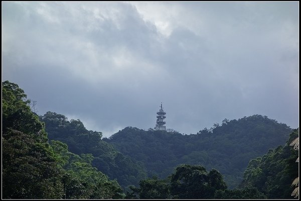 2021.01.10 貓空茶香環狀步道