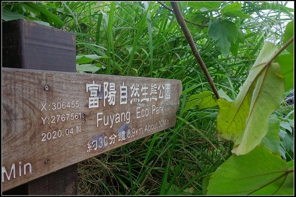 2021.01.02 找尋隱藏在城市中的秘境 ‧ 黎和公園 