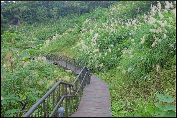 2021.01.02 找尋隱藏在城市中的秘境 ‧ 黎和公園 