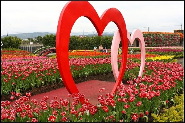 2018.02.11 后里中社花市‧拜訪鬱金香花海