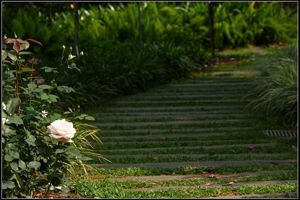 2018.04.06 三義‧雅聞香草植物工廠