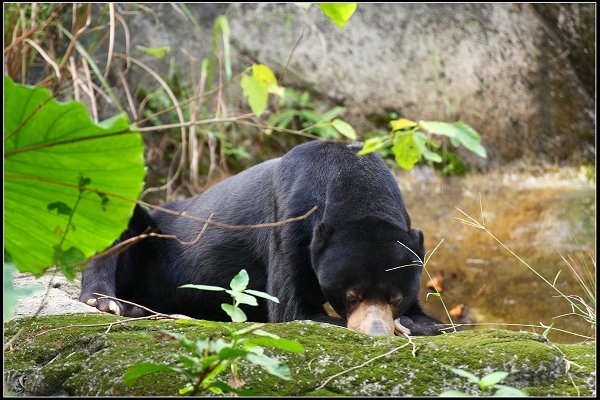 2020.10.31 台北市立木柵動物園