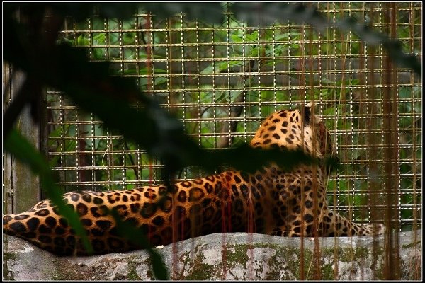 2020.10.31 台北市立木柵動物園