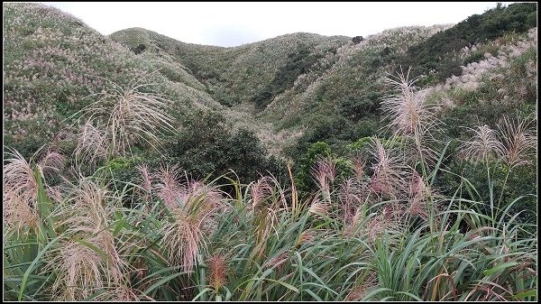 2020.10.30 瑞芳金瓜石 ‧ 半屏山步道