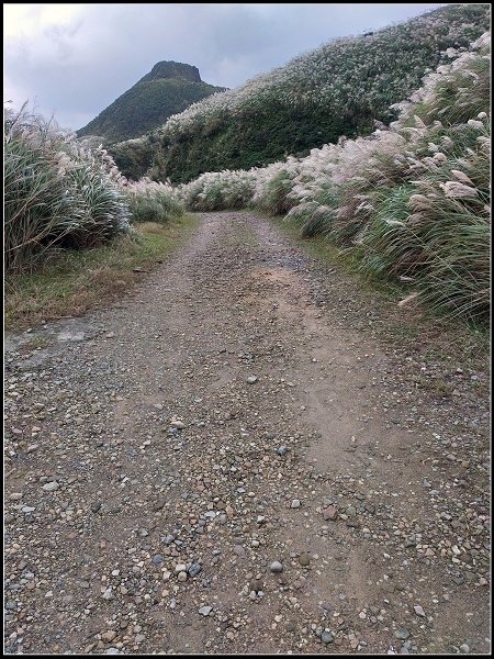 2020.10.30 瑞芳金瓜石 ‧ 半屏山步道