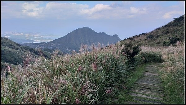 2020.10.30 瑞芳金瓜石 ‧ 半屏山步道