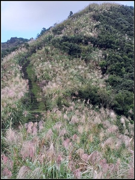 2020.10.30 瑞芳金瓜石 ‧ 半屏山步道