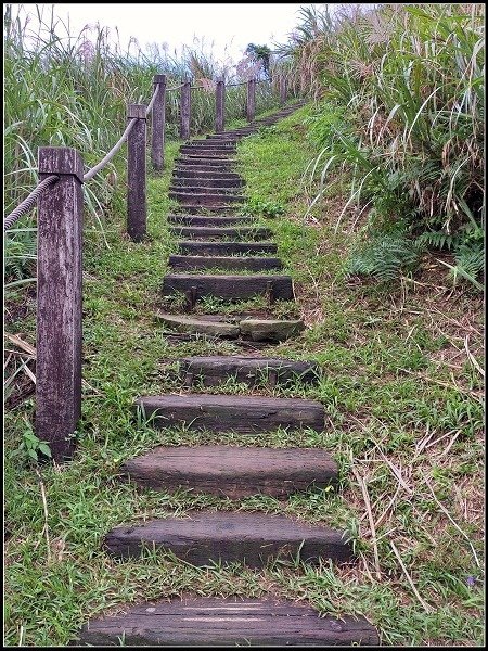 2020.10.30 瑞芳金瓜石 ‧ 半屏山步道