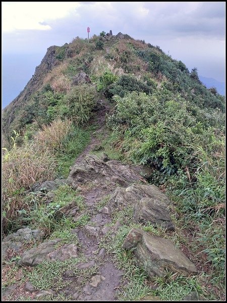 2020.10.30 瑞芳金瓜石 ‧ 半屏山步道