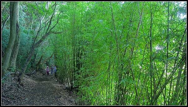 2020.08.16 陽明山 ‧ 橫嶺古道