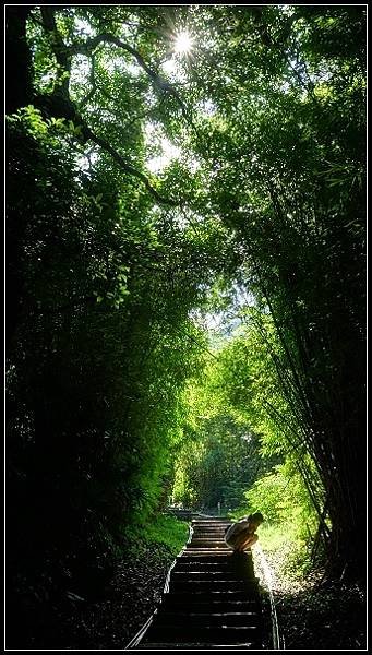 2020.08.16 陽明山 ‧ 橫嶺古道