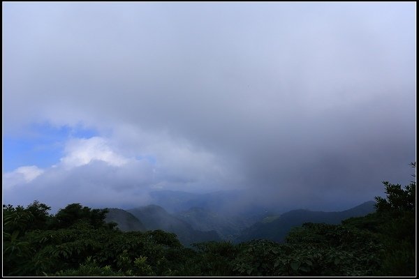 2020.07.19 東眼山國家森林遊樂園