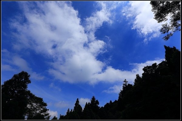 2020.07.19 東眼山國家森林遊樂園