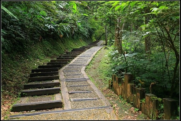 2020.07.19 東眼山國家森林遊樂園