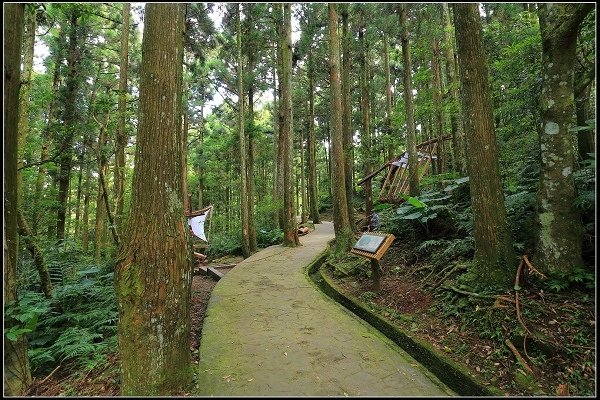 2020.07.19 東眼山國家森林遊樂園