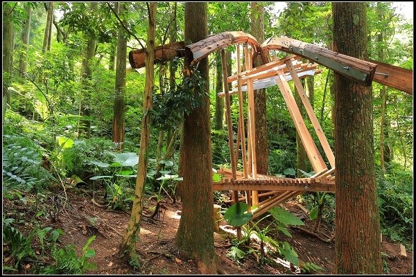 2020.07.19 東眼山國家森林遊樂園