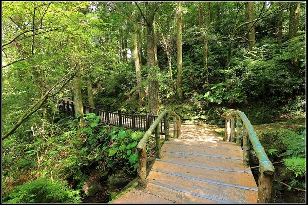 2020.07.19 東眼山國家森林遊樂園