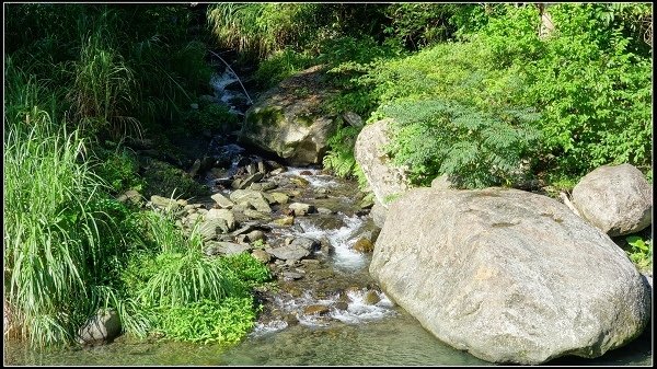 2020.07.05 烏來福山 ‧ 大羅蘭溪古圳步道